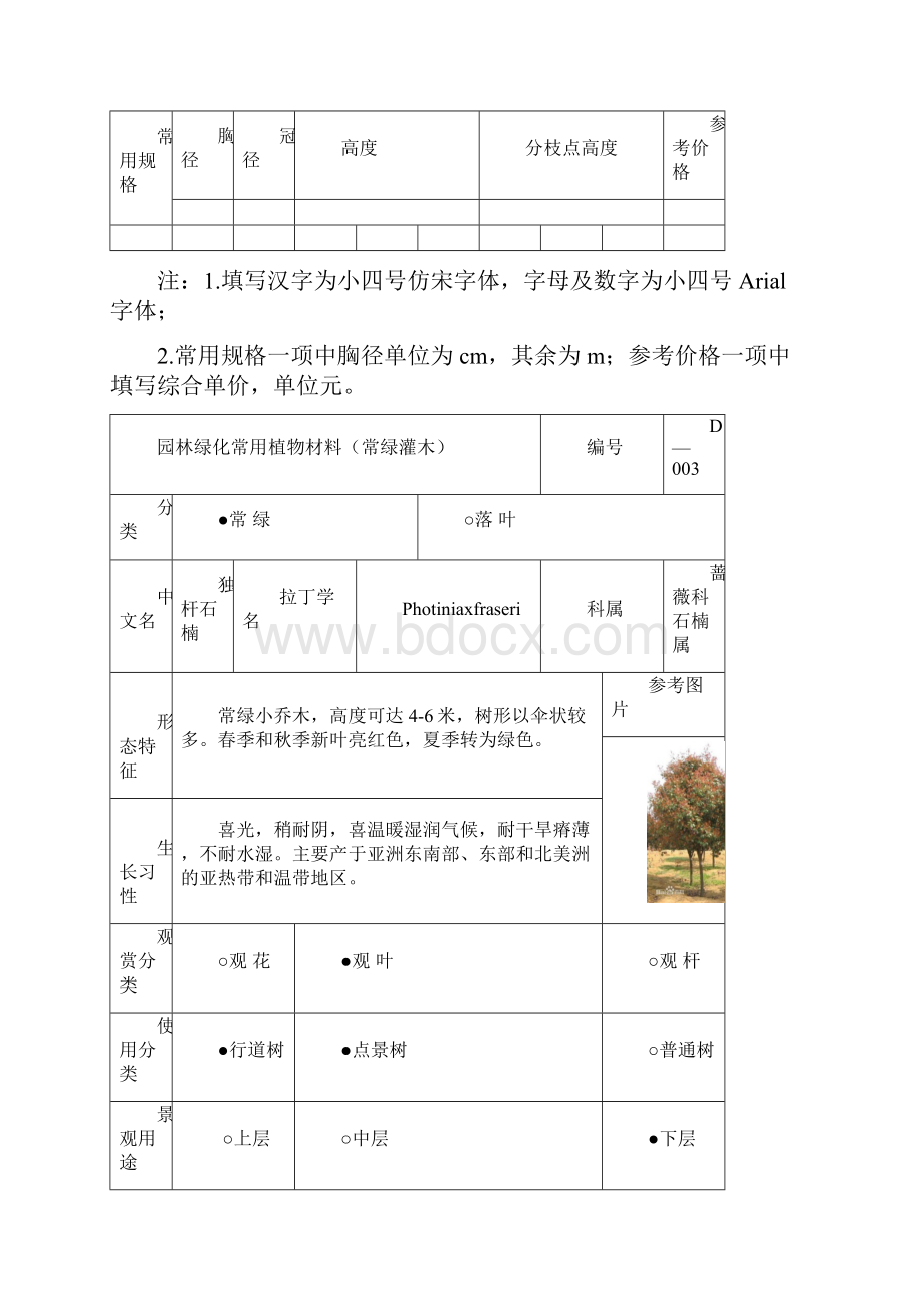 常绿灌木生态习性.docx_第3页