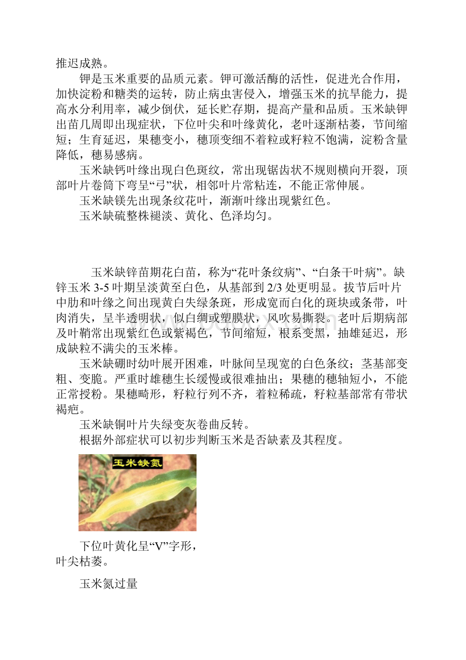 玉米养分缺失诊断.docx_第2页