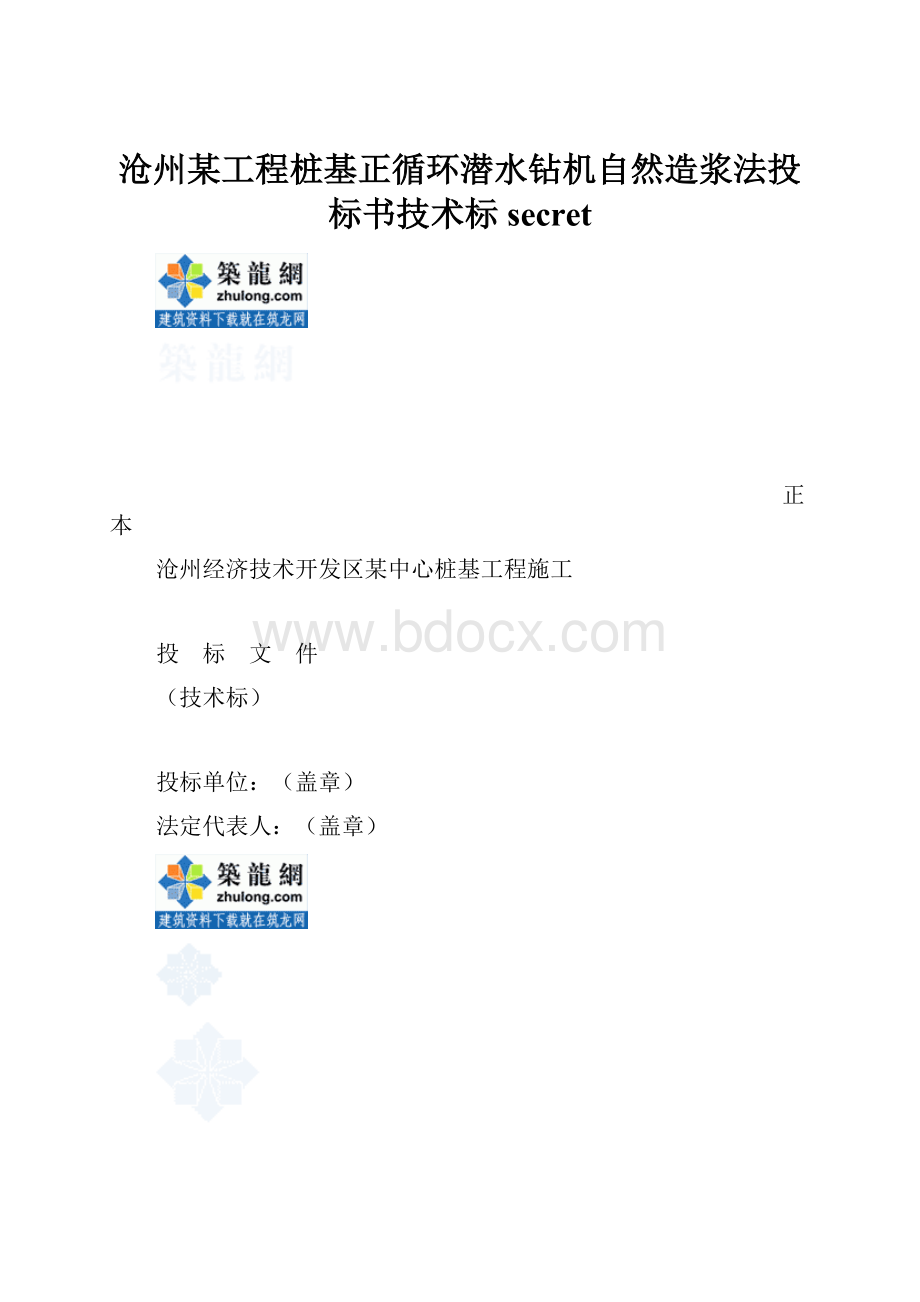 沧州某工程桩基正循环潜水钻机自然造浆法投标书技术标secret.docx