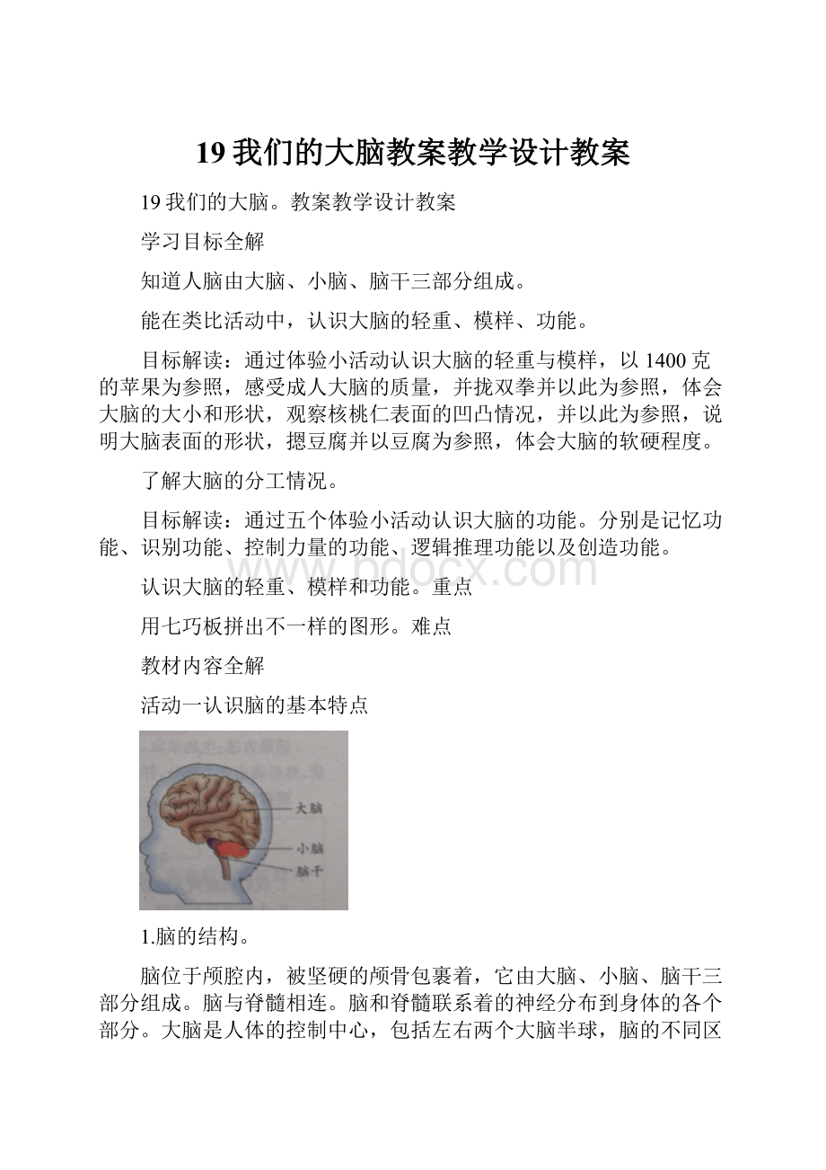 19我们的大脑教案教学设计教案.docx_第1页