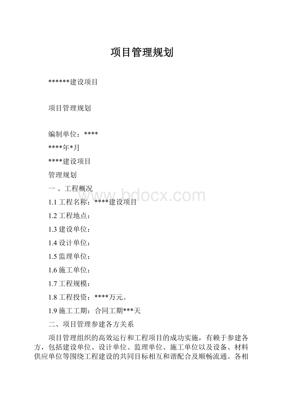 项目管理规划.docx