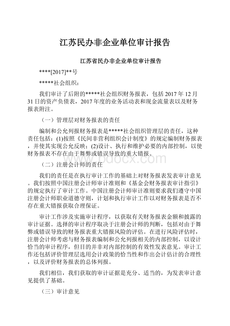 江苏民办非企业单位审计报告.docx