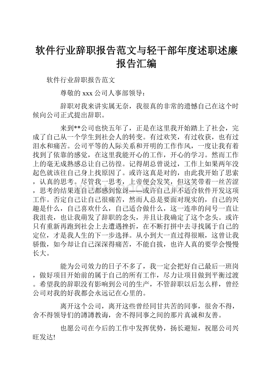 软件行业辞职报告范文与轻干部年度述职述廉报告汇编.docx