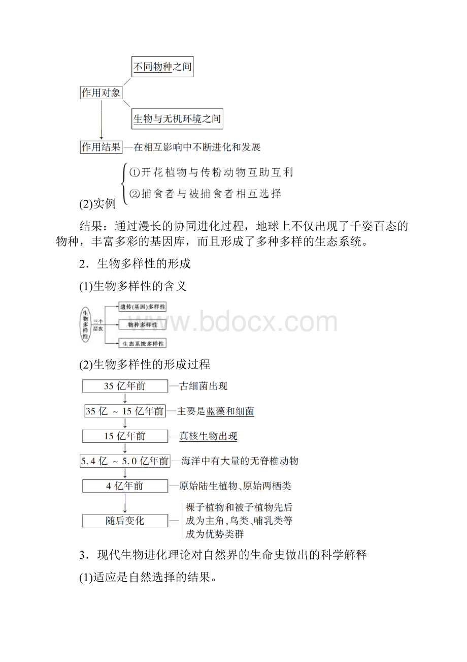 新教材高中生物第6章生物的进化第3节种群基因组成的变化与物种的形成2第4节协同进化与生物多样性的形成.docx_第3页