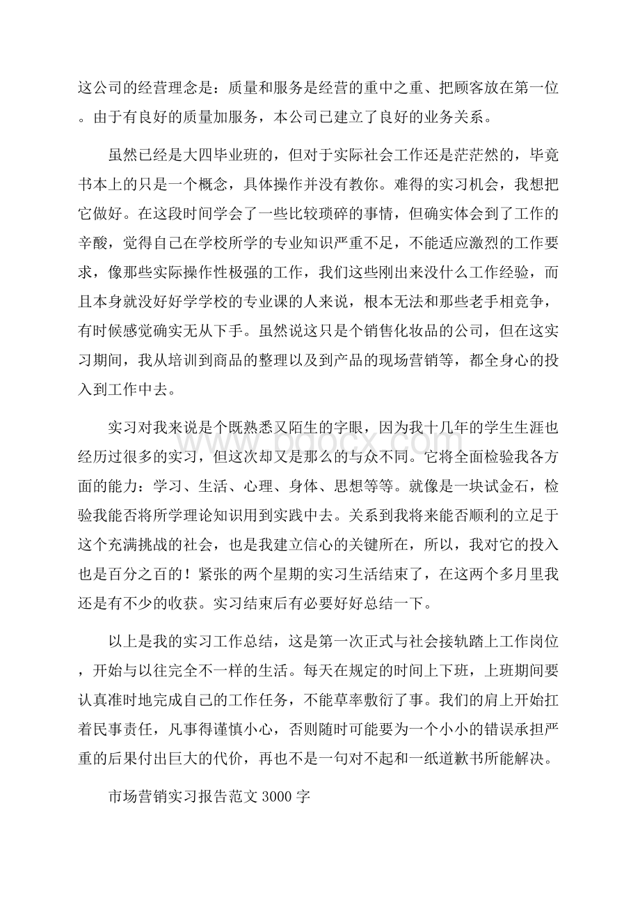 市场营销实习报告范文3000字.docx_第3页