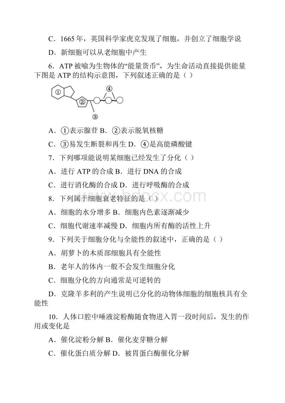 山东省泰安市学年高一上学期期末生物试题含答案解析.docx_第2页