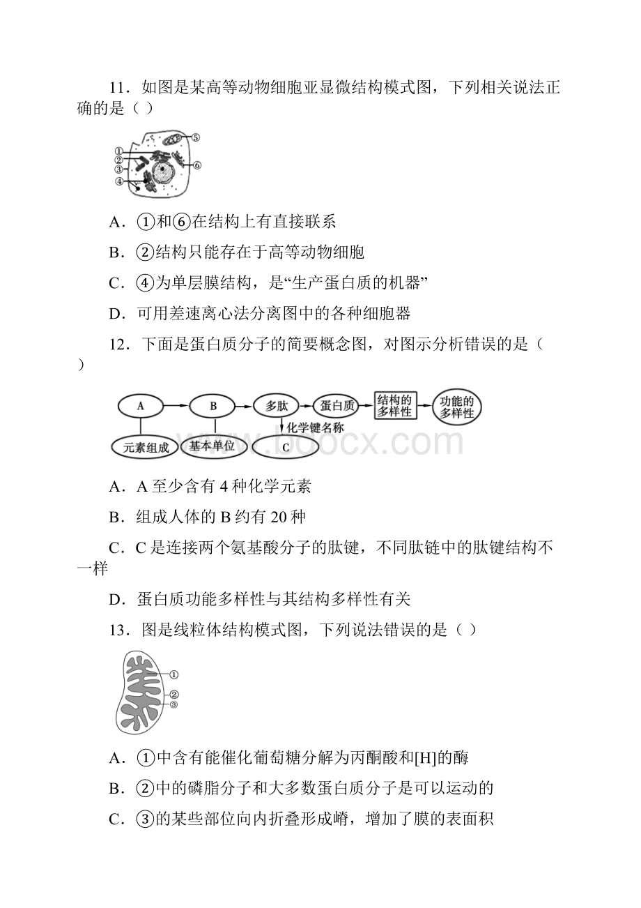 山东省泰安市学年高一上学期期末生物试题含答案解析.docx_第3页