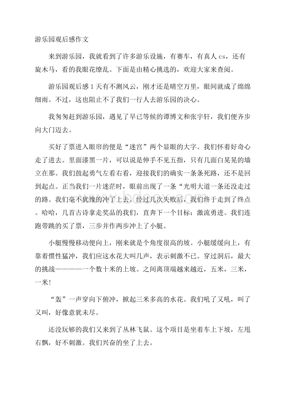 游乐园观后感作文.docx