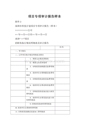 项目专项审计报告样本.docx