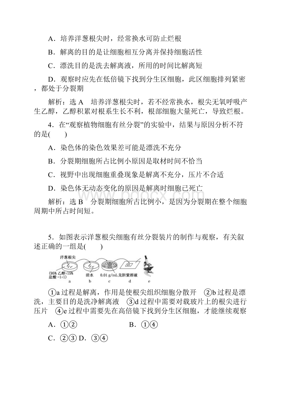 高中生物苏教版必修1课时跟踪检测19 观察植物细胞的有丝分裂 Word版含答案.docx_第2页