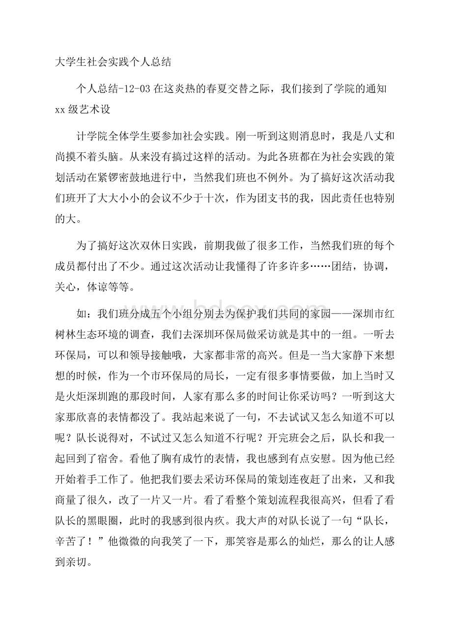 大学生社会实践个人总结.docx