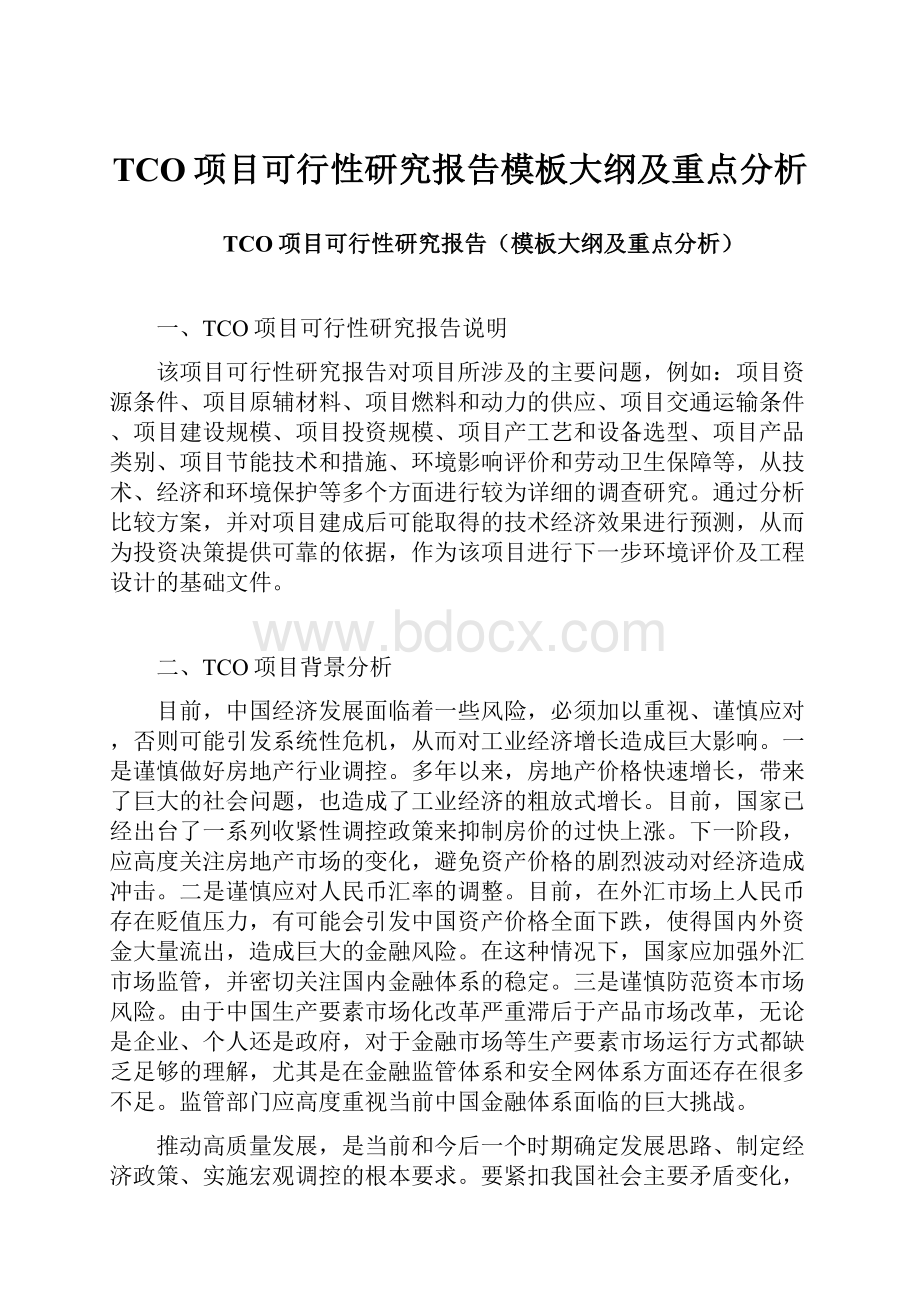 TCO项目可行性研究报告模板大纲及重点分析.docx_第1页