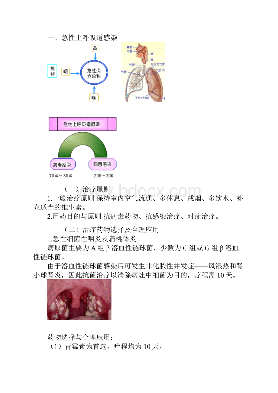 主管药师考试辅导专业实践能力讲义临床药物治疗学呼吸系统常见病的药物治疗.docx_第2页