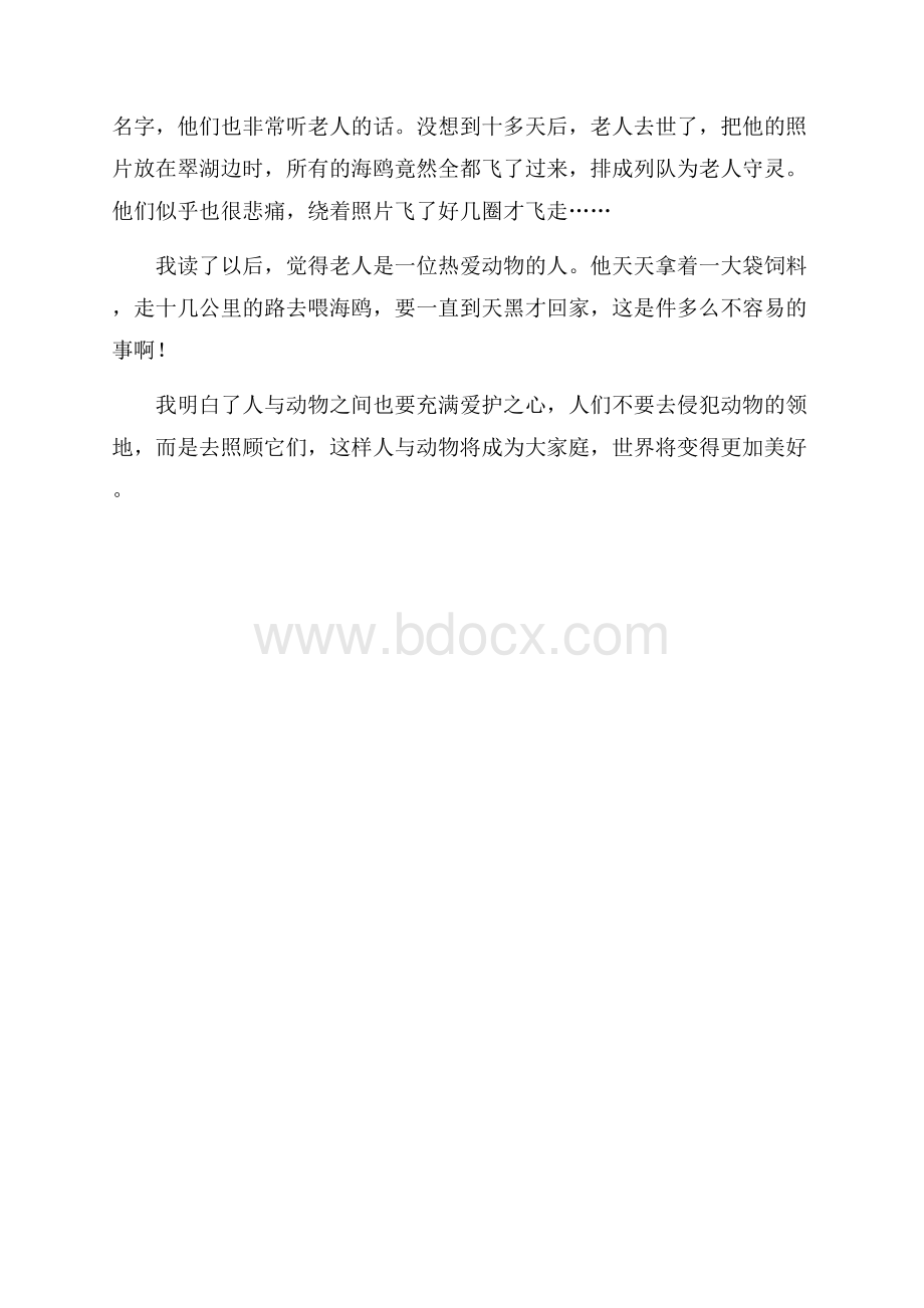 《老人与海》读后感范文4篇.docx_第3页