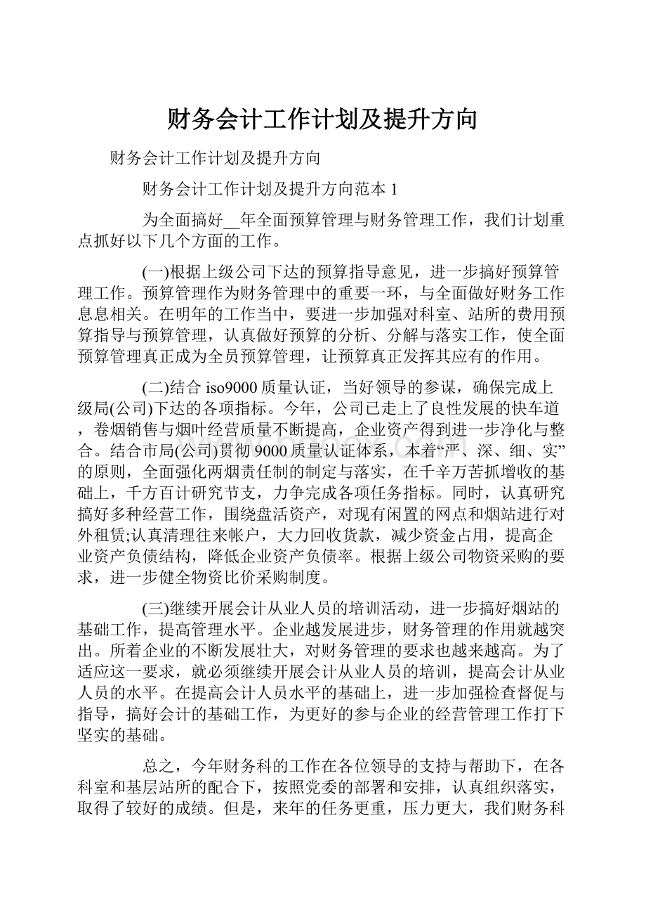 财务会计工作计划及提升方向.docx