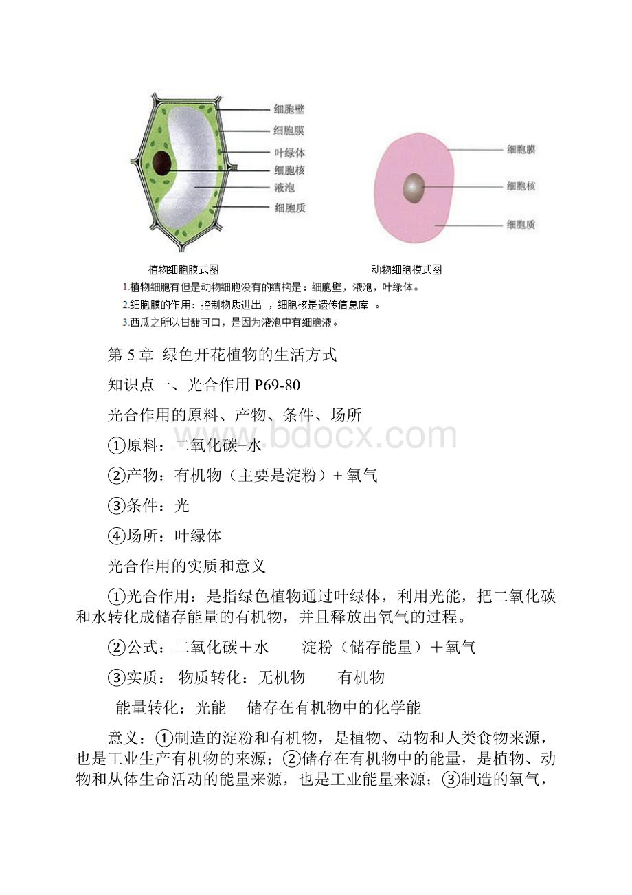 最新北师大版初中生物结业考试复习提纲.docx_第3页