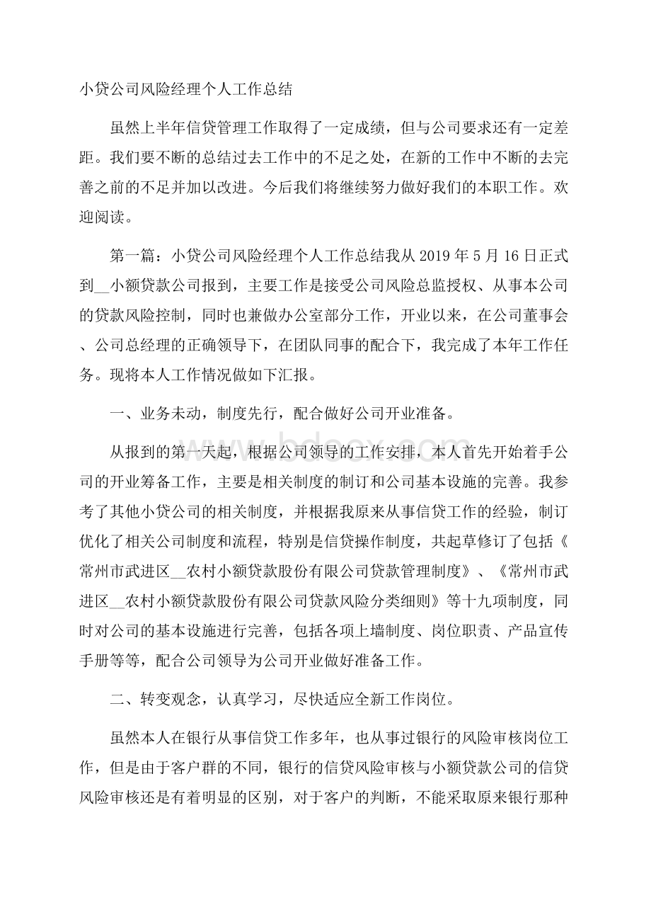 小贷公司风险经理个人工作总结.docx