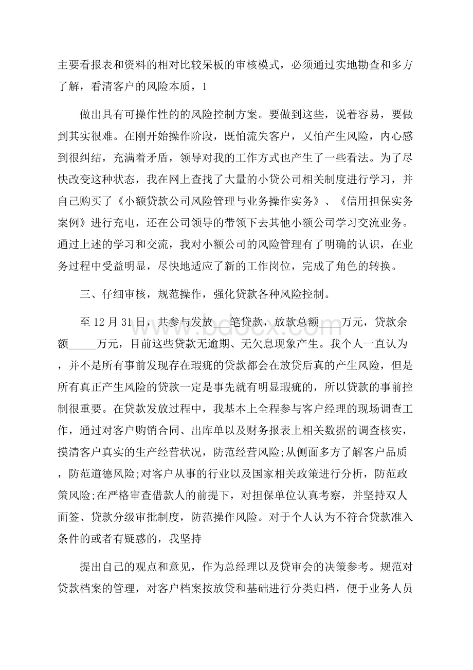 小贷公司风险经理个人工作总结.docx_第2页