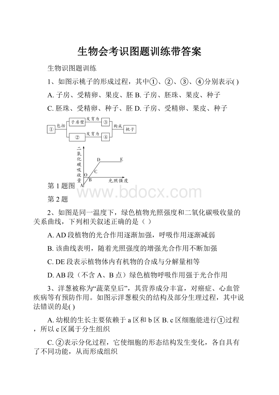 生物会考识图题训练带答案.docx_第1页