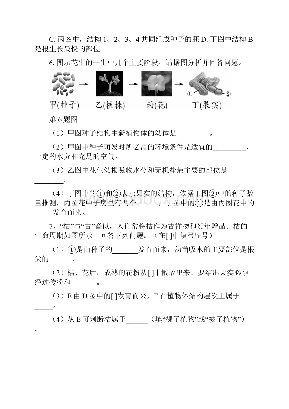 生物会考识图题训练带答案.docx_第3页