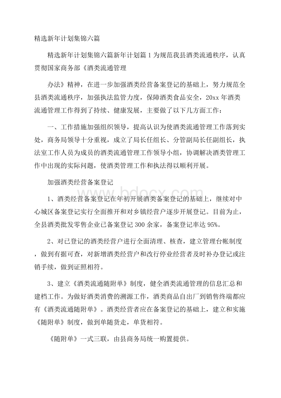 精选新年计划集锦六篇.docx