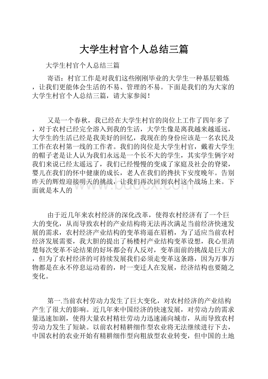 大学生村官个人总结三篇.docx