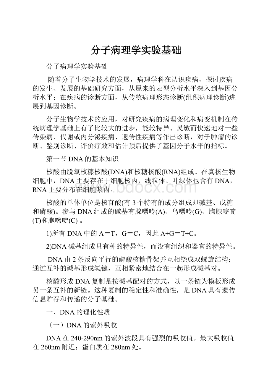 分子病理学实验基础.docx