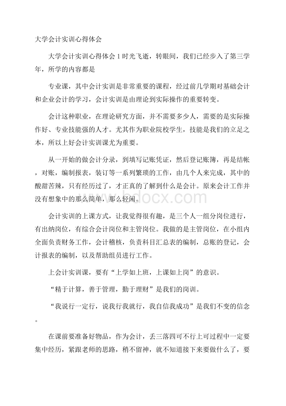 大学会计实训心得体会.docx