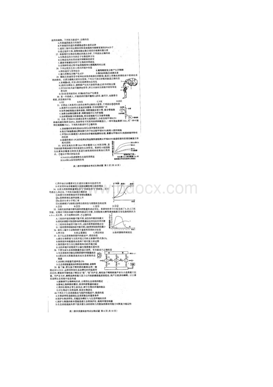 山东省临沂市届高三一模生物含答案扫描版.docx_第3页