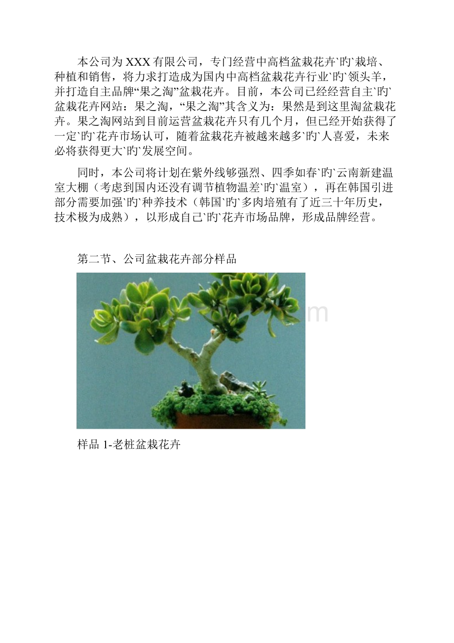 中高端盆栽花卉网站融资经营项目商业计划书.docx_第3页