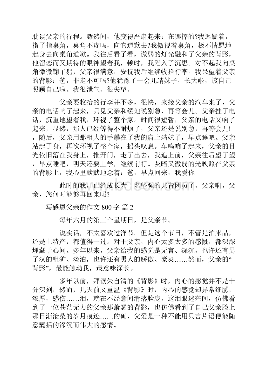 关于写感恩父亲的作文800字汇总八篇.docx_第2页