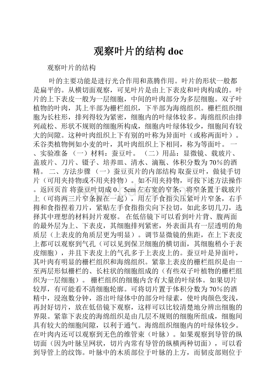 观察叶片的结构doc.docx