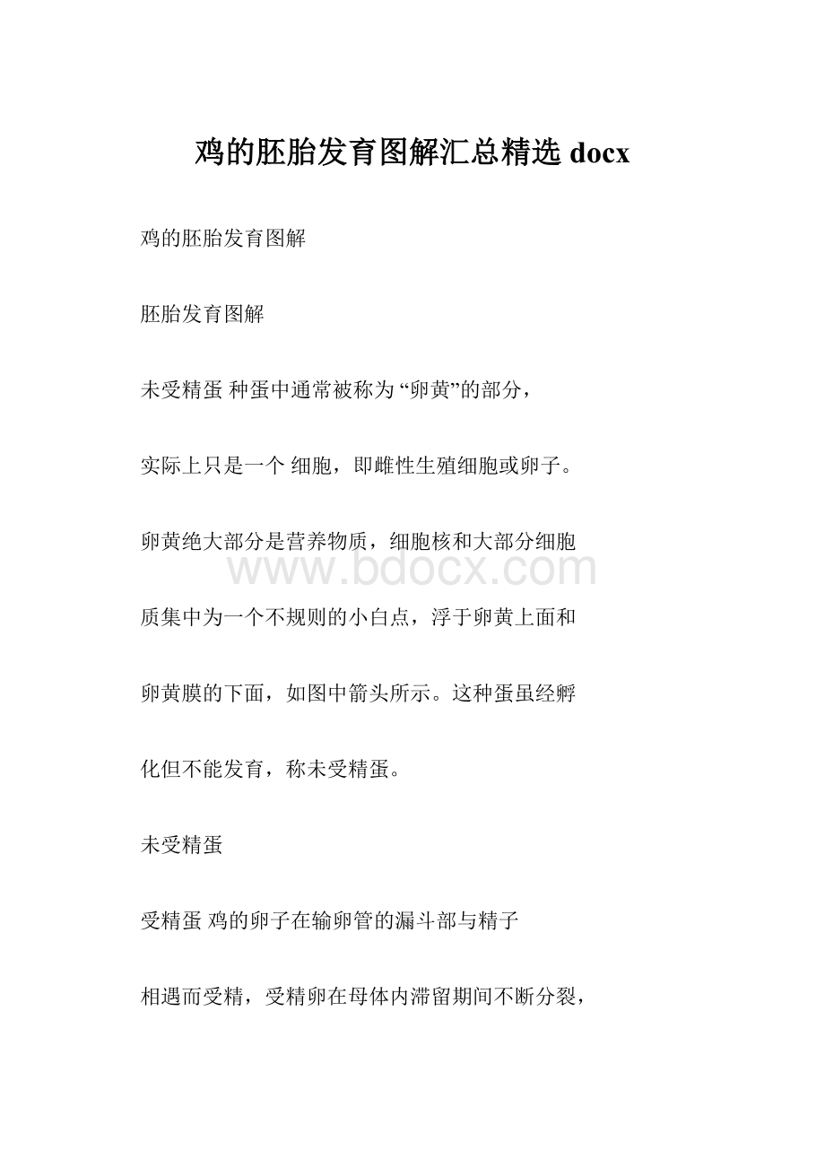 鸡的胚胎发育图解汇总精选docx.docx