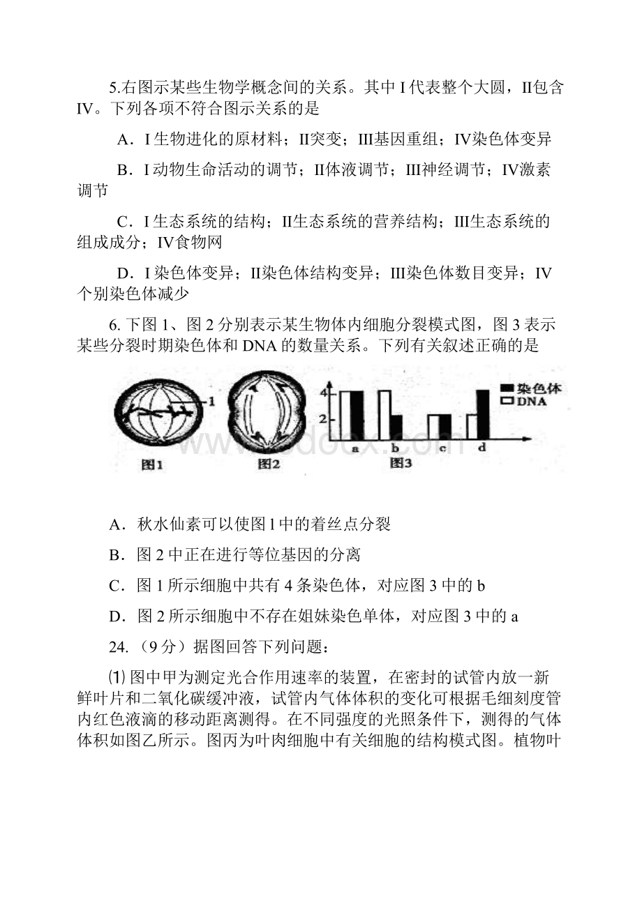 新一中理科综合试题生物部分.docx_第3页