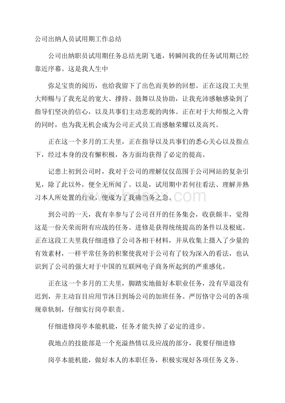 公司出纳人员试用期工作总结.docx