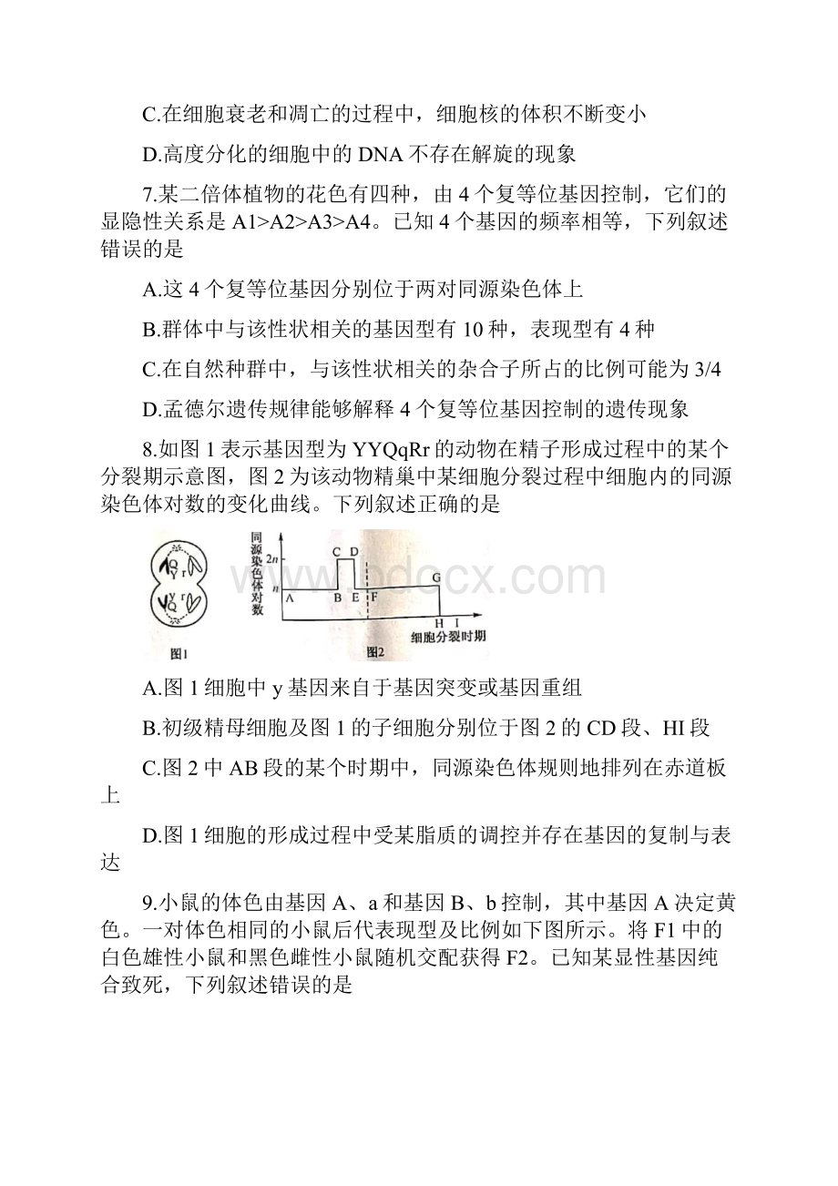 河南逝师联盟届高三生物上学期摸底考巩固卷.docx_第3页