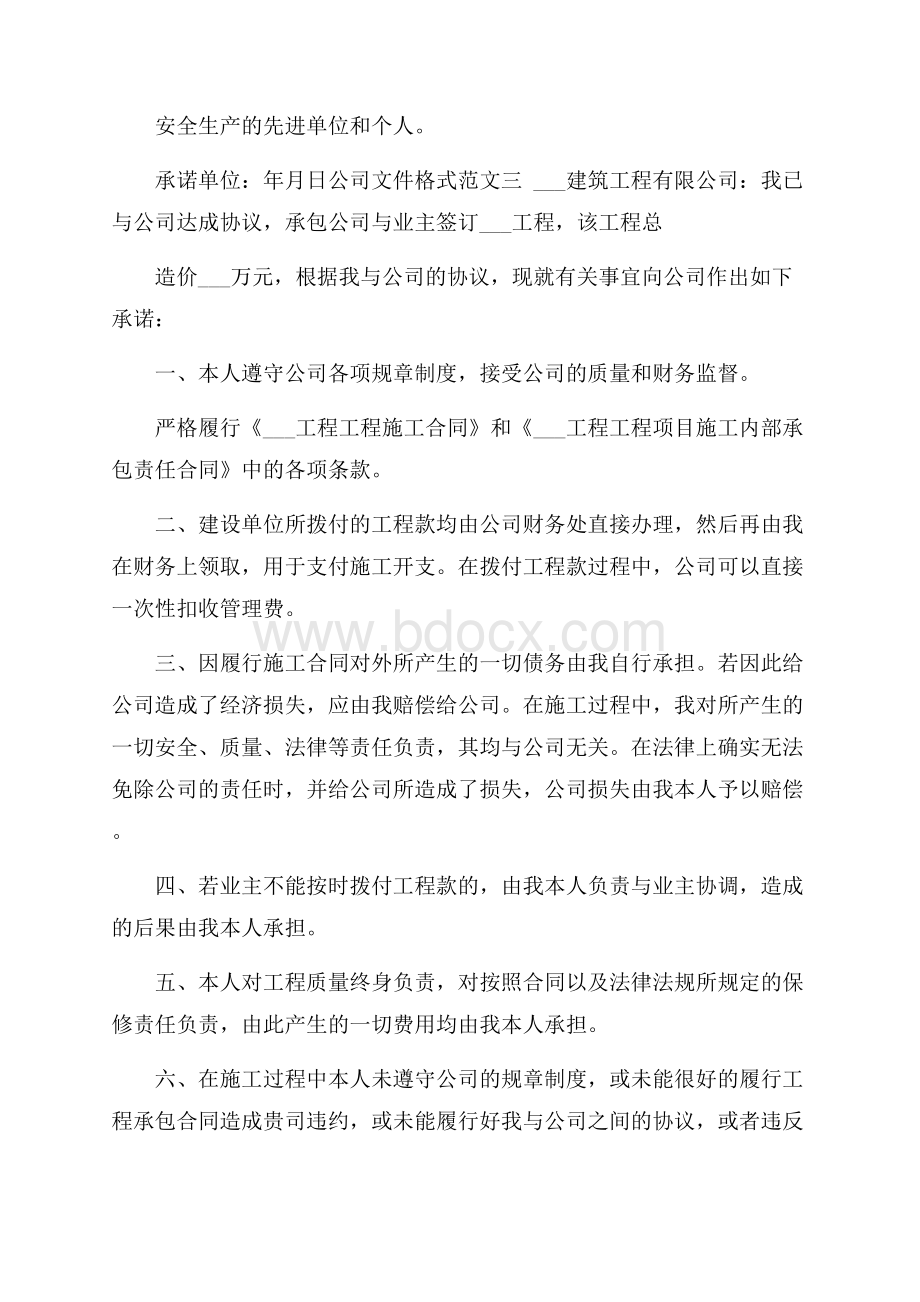 公司文件格式范文.docx_第3页