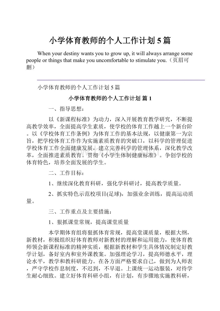 小学体育教师的个人工作计划5篇.docx