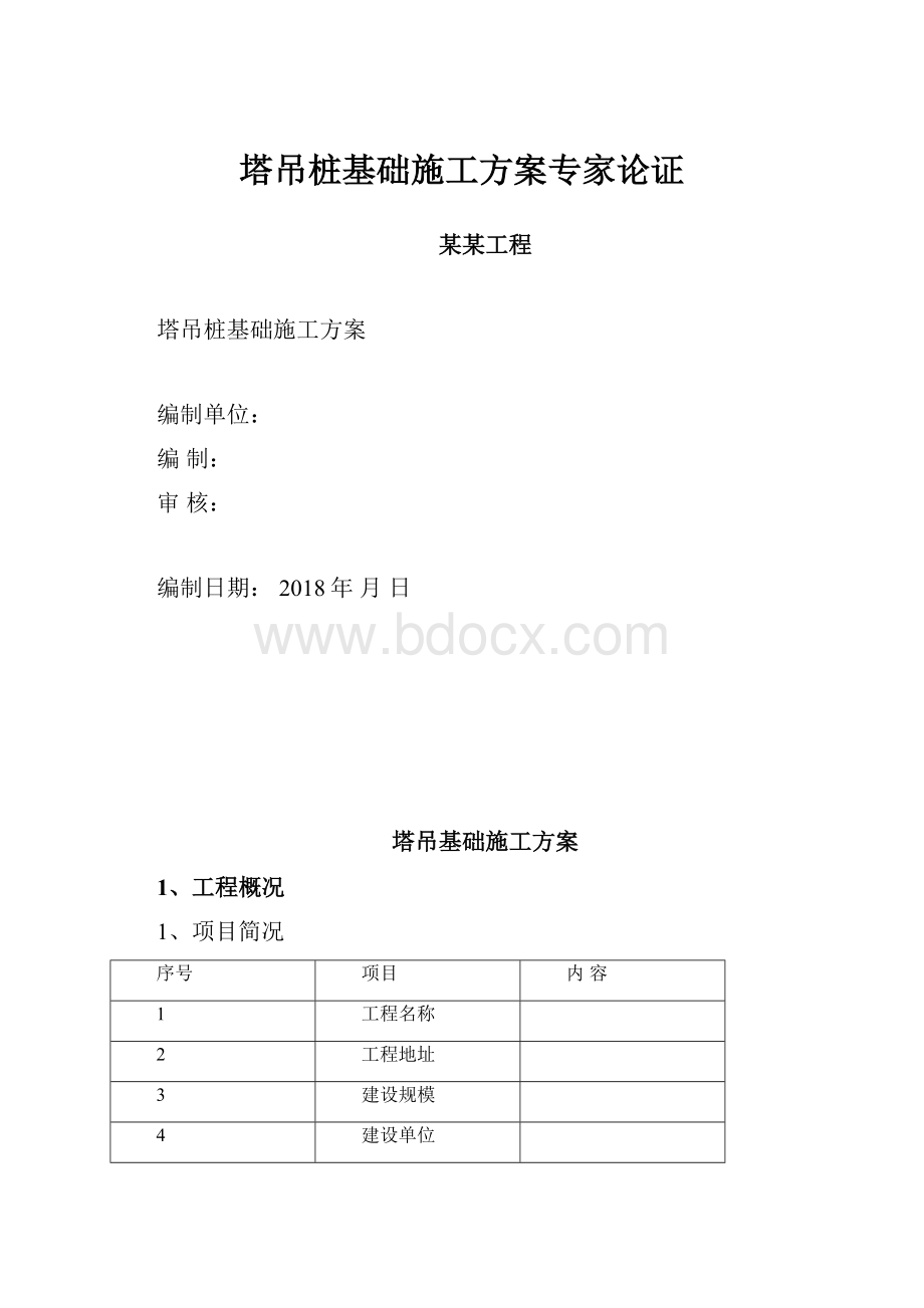 塔吊桩基础施工方案专家论证.docx