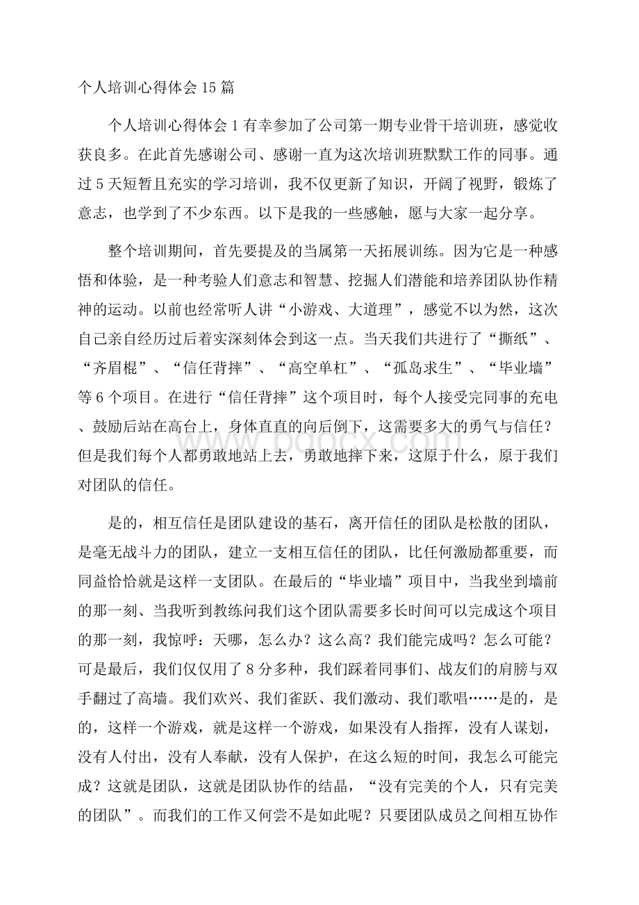 个人培训心得体会15篇.docx