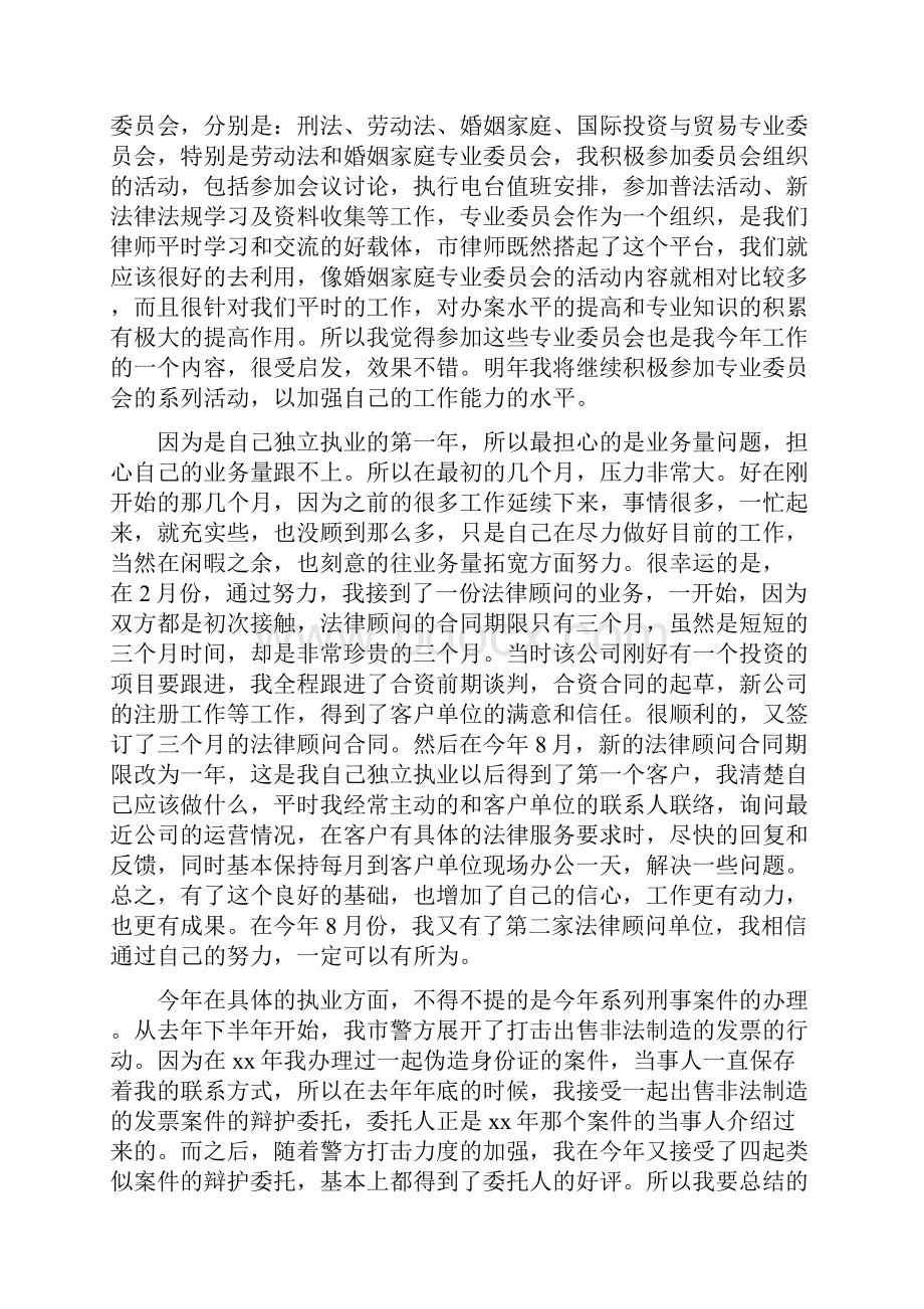 律师个人工作总结.docx_第3页