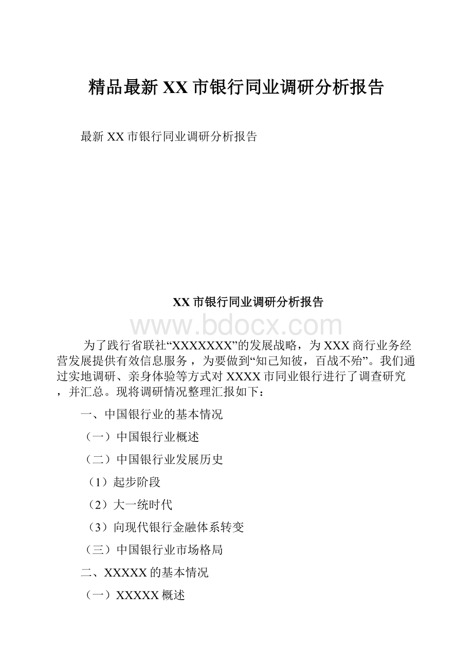 精品最新XX市银行同业调研分析报告.docx