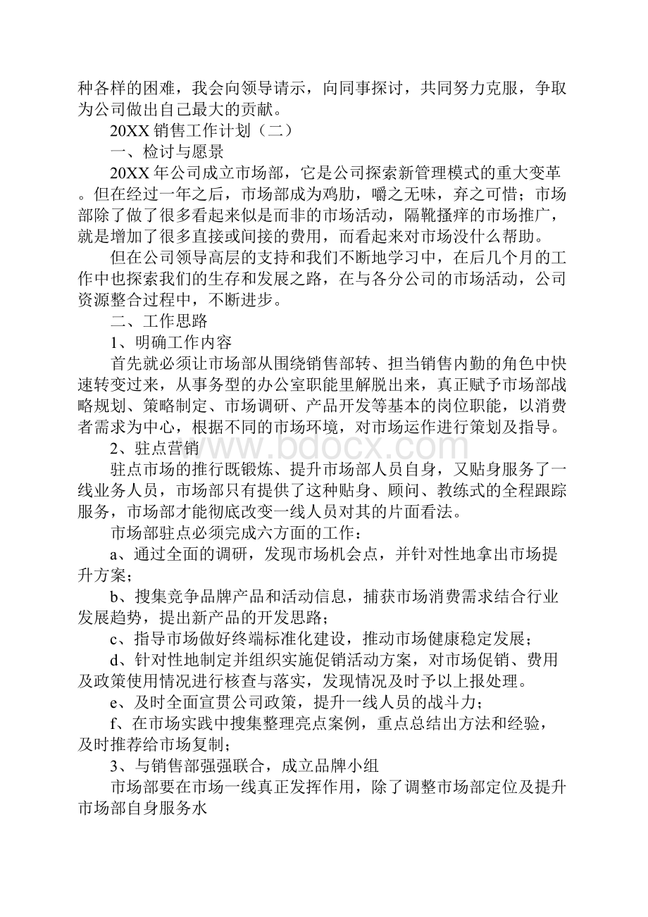 20XX销售总监工作计划.docx_第3页