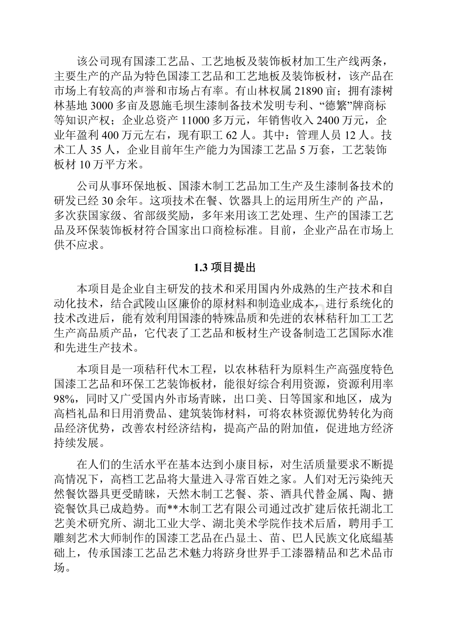 年产16万套国漆工艺品改扩建项目可行性研究报告.docx_第2页