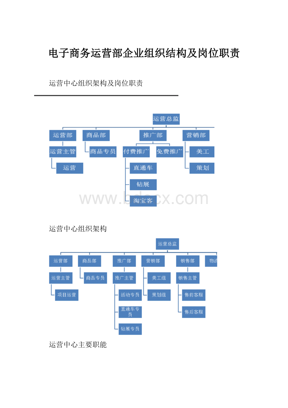 电子商务运营部企业组织结构及岗位职责.docx_第1页