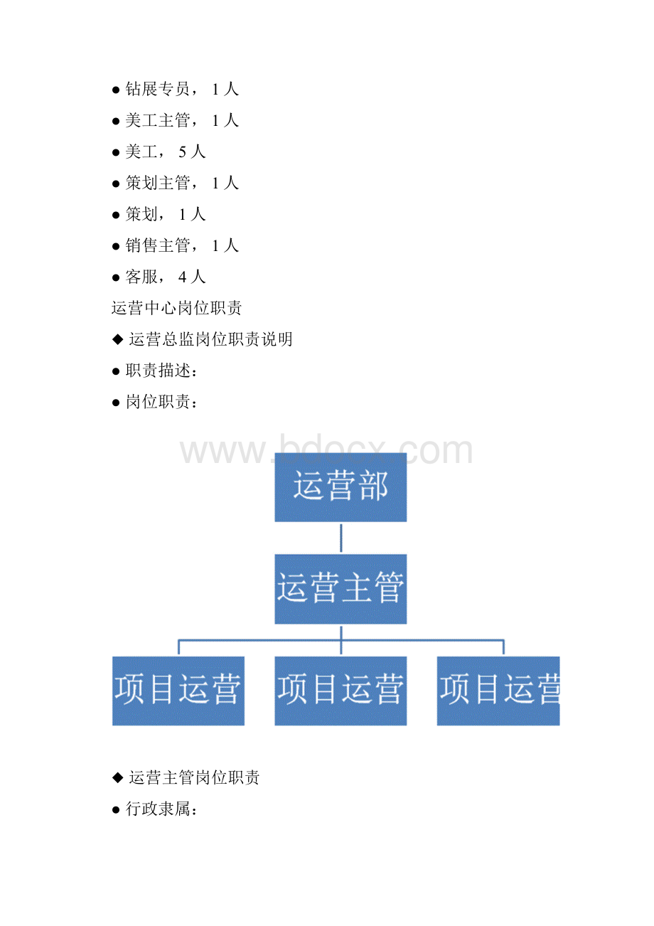 电子商务运营部企业组织结构及岗位职责.docx_第3页