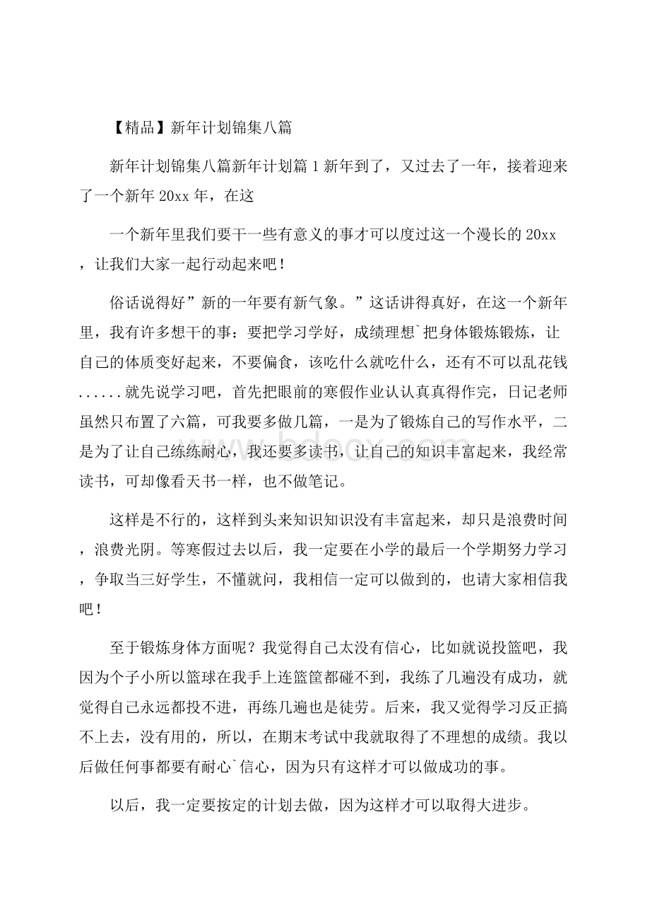 精品新年计划锦集八篇.docx