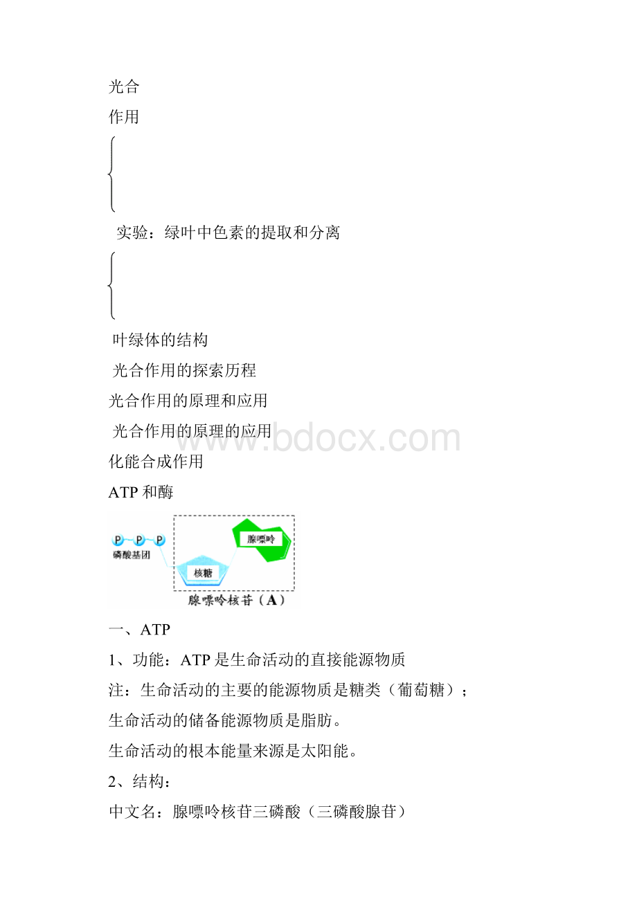 专题三生命的能量代谢.docx_第3页