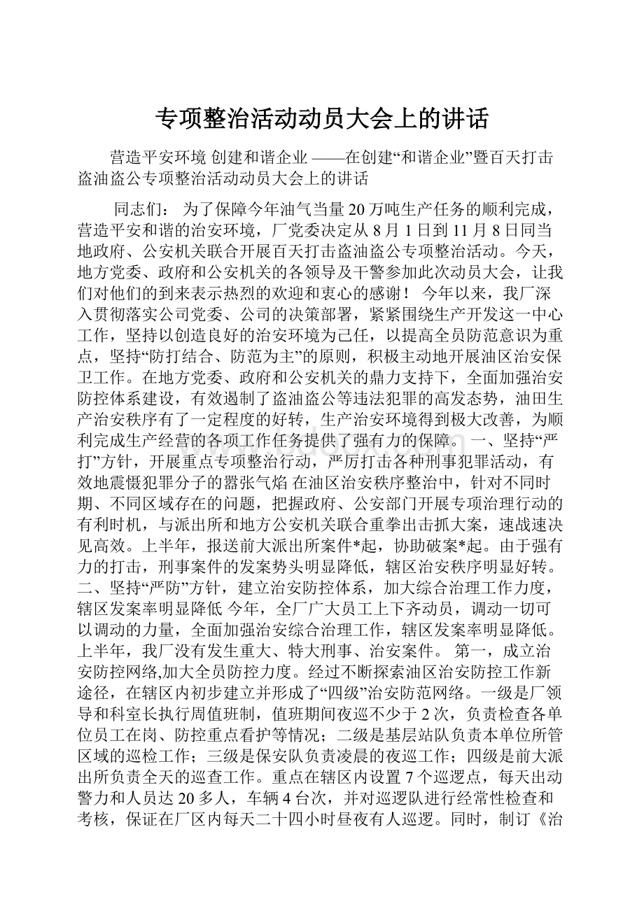 专项整治活动动员大会上的讲话.docx