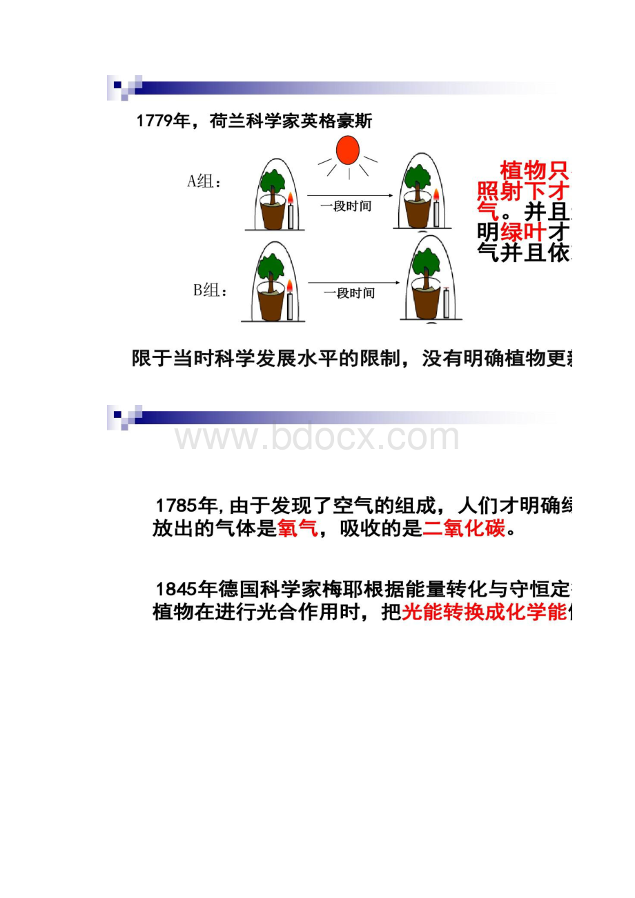 第10讲光合作用的探究历程与基本过程.docx_第2页